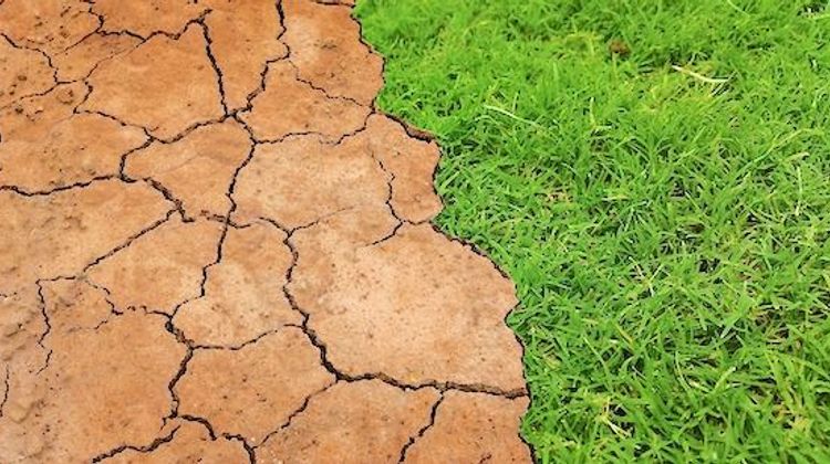 SÉCHERESSE - Restrictions temporaires des usages de l’eau dans les Landes